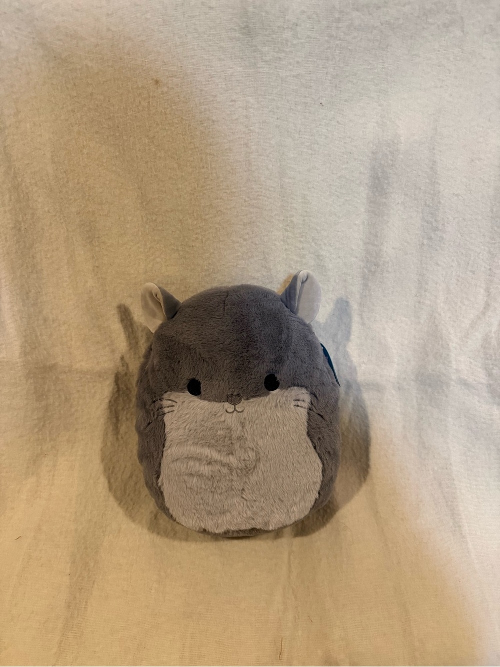 Miper the chinchilla Squishmallow